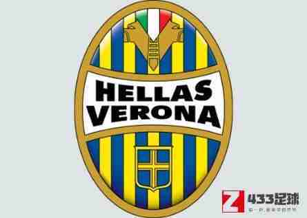 维罗纳,维罗纳球队将采用现代化、扁平化的新队徽