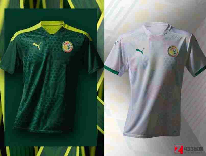 塞内加尔国家队,塞内加尔国家队球衣,塞内加尔国家队球衣公布，灵感源于塞内加尔传统纺织业