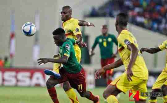 科特迪瓦队,科特迪瓦队vs喀麦隆队前瞻：后者现世界排名已降至54位
