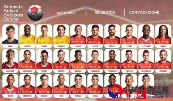 瑞士足球队,瑞士足球队欧洲杯大名单：奥姆林，科贝尔在内